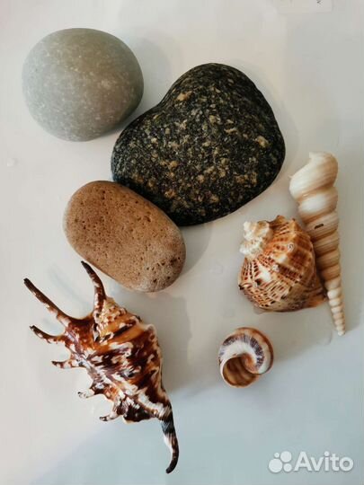 Аквариум aquael (25 л)комплект