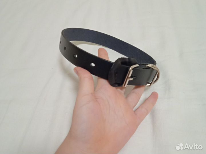 Ошейник для собаки