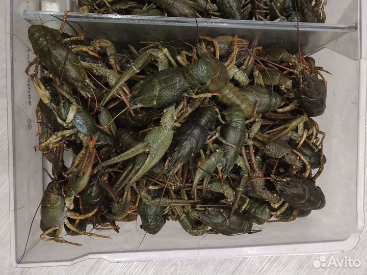 Местные раки