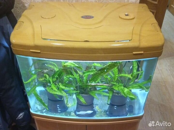 Аквариум
