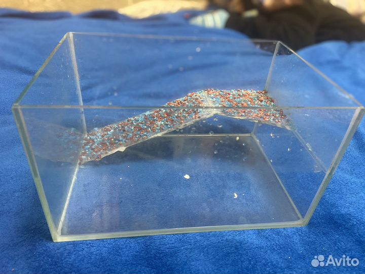 Аквариум для красноухой черепахи