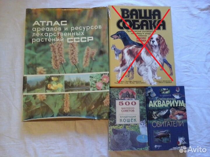 Книги различной тематики