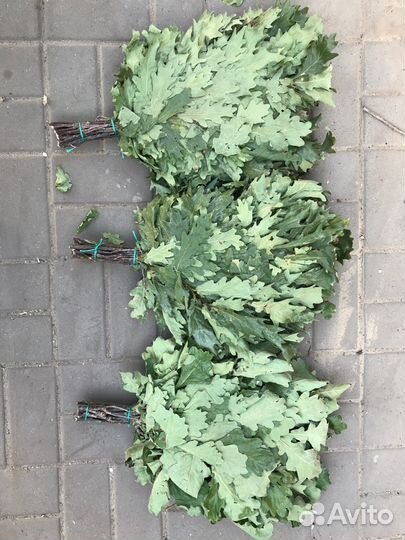 Веники для бани
