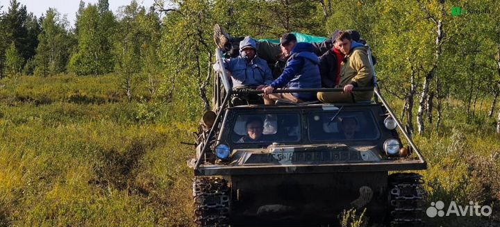 Заполярная экспедиция 