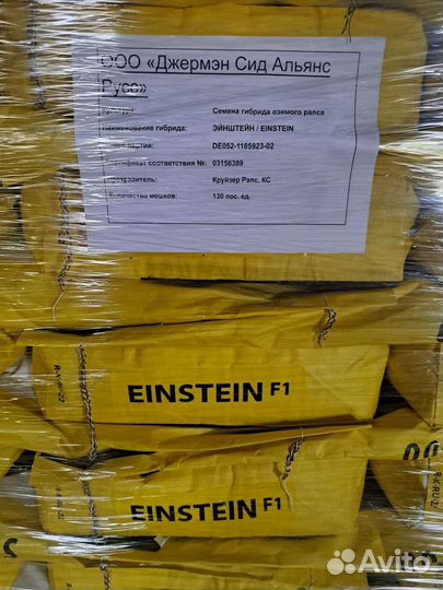 Продам семена рапса