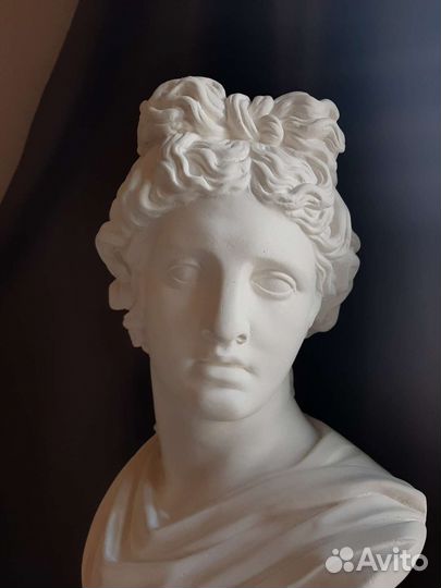 Гипсовая голова Аполлон бюст