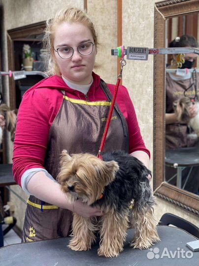 Грумер на дом