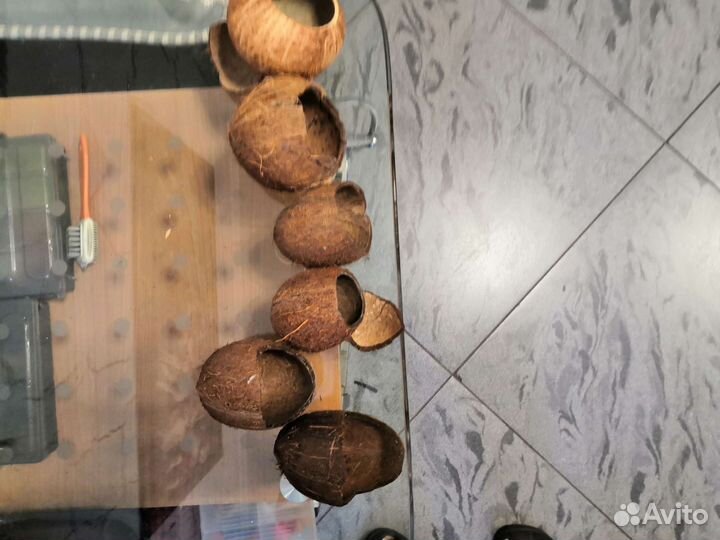 Какос укрытие