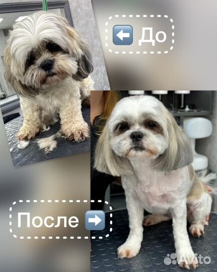 Модель на груминг