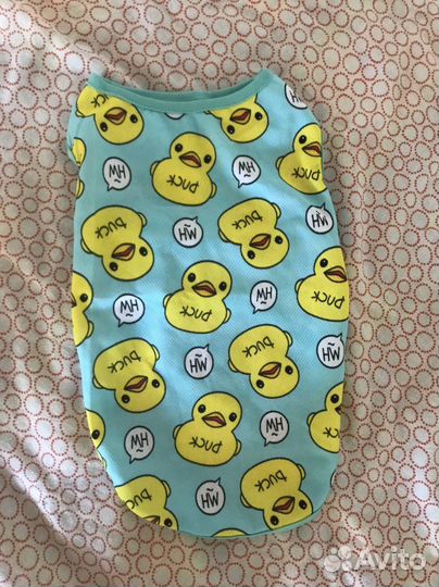 Одежда для собак