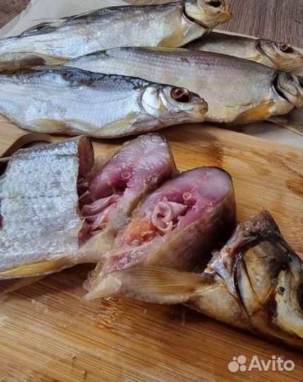 Рыбец каспийский, вобла, лещ и другая рыба