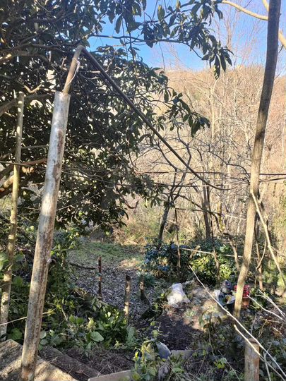 Участок 6,7 сот. (СНТ, ДНП)