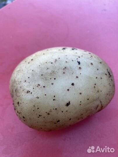 Картофель,морковь,капуста