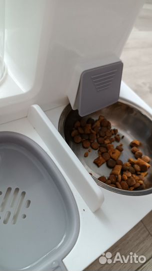Автоматическая кормушка для кошек