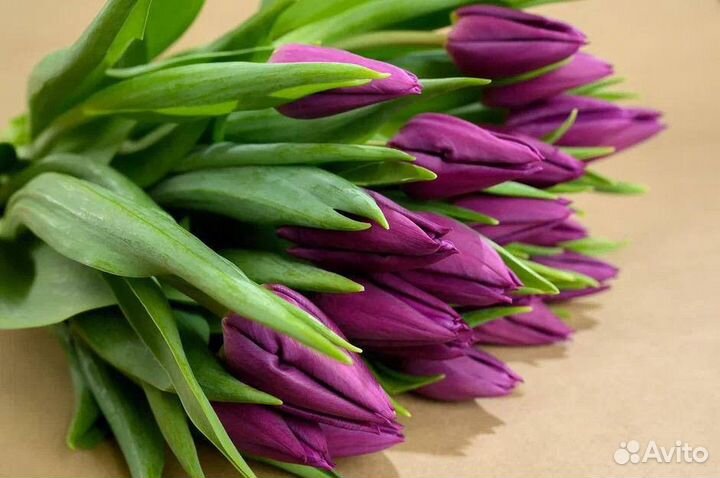 Цветы тюльпаны и букеты с доставкой