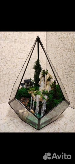 Флорариумы - моссариумы