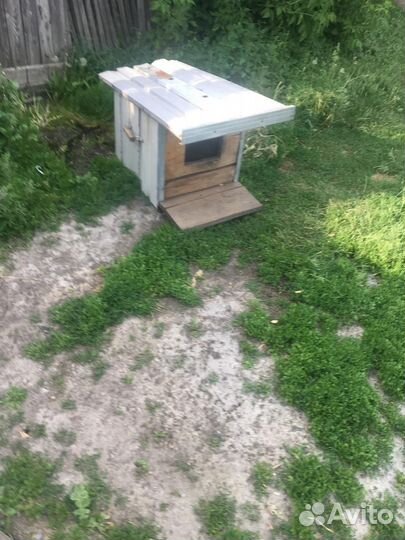Будка для собаки