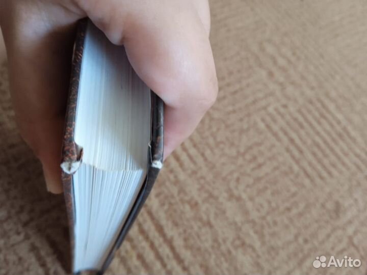 Книги коты воители