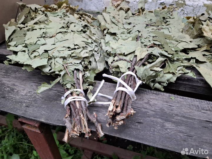 Дубовый Веник