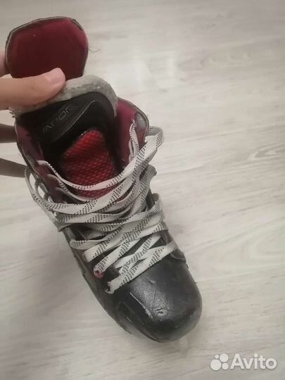 Коньки bauer vapor x500