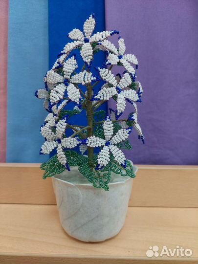 Декоративные цветы