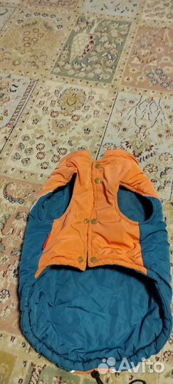 Зимняя куртка для собак