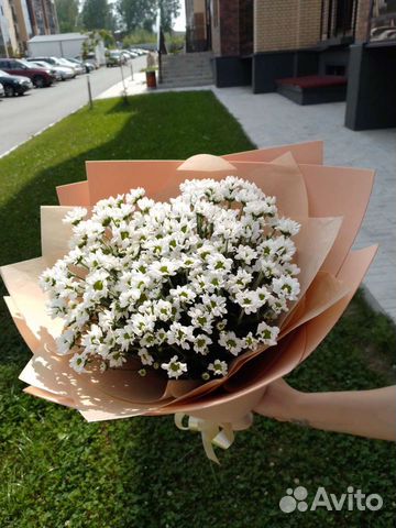 Букет цветов из хризантемы Сантини ромашка