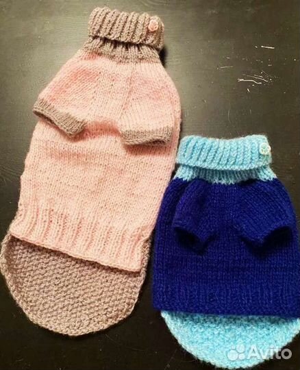 Вязаная одежда для животных
