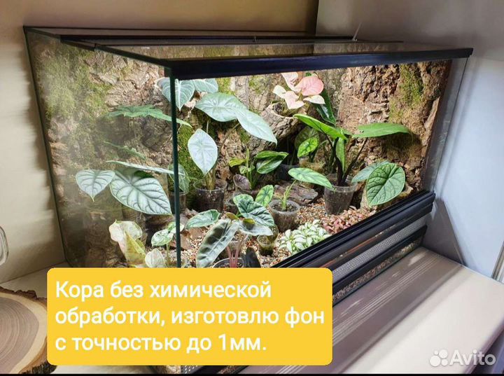 Фон для террариума, пробковая кора, орхидариум