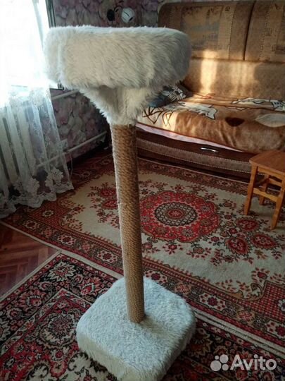 Когтеточка