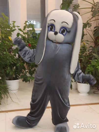 Ростовой костюм 2 в одном