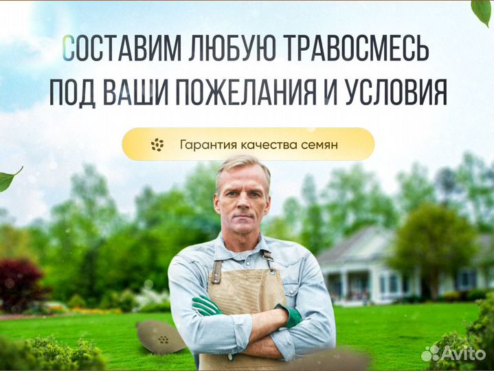 Газонная трава Дачная