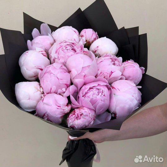 Букет из пионов 11 21 31 51 101 Цветы Букеты