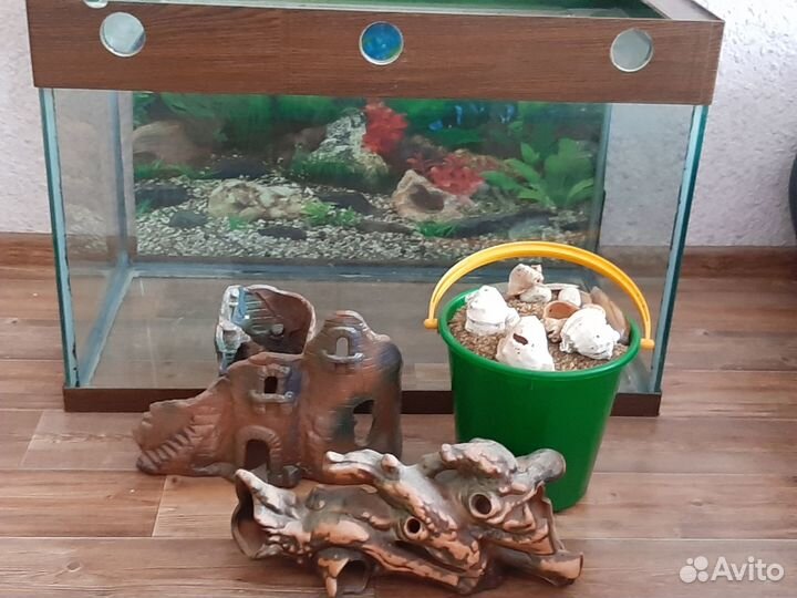 Аквариум