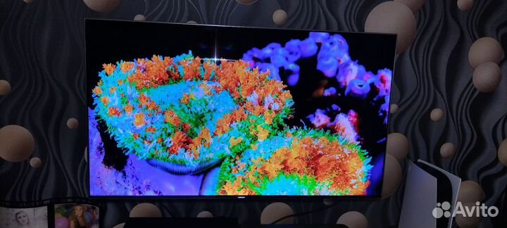 Телевизор samsung 55 qled 8 series 4к