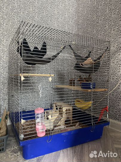 Клетка для грызунов