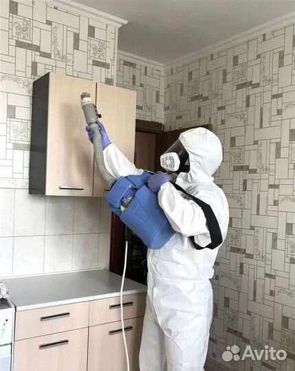 Уничтожение тараканов, клопов Дезинсекция