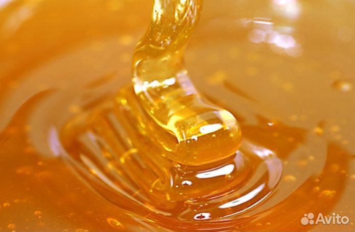 Мёд натуральный алтайский оптом от 16 кг