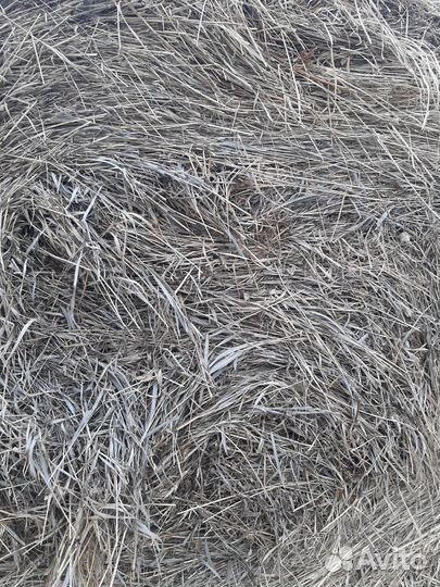 Сено в рулонах