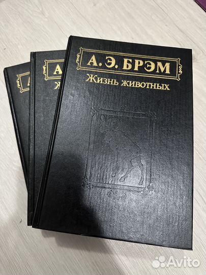 Книги Брэм Жизнь животных