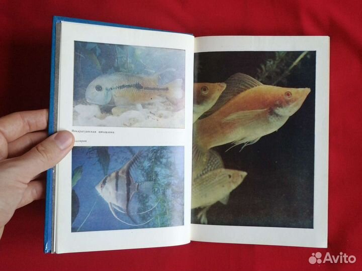 Ваш аквариум энциклопедия