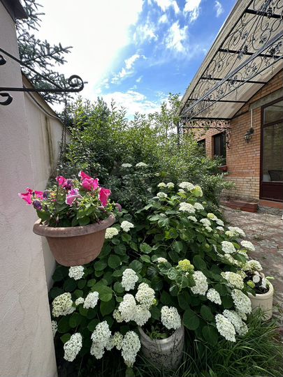 Дом 228 м² на участке 6 сот.