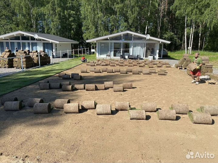 Качественный газон спорт