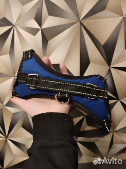 Шлейка для собаки мелких-средних пород