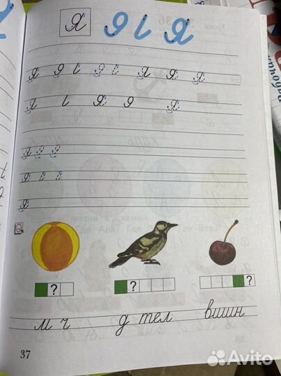 Прописи 1 класс ч1,2,3 Безруких