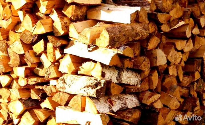 Дрова свежие