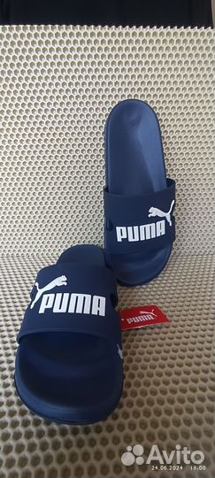 Сланцы Puma