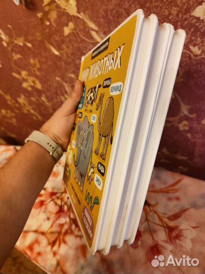 Книги с окошками 