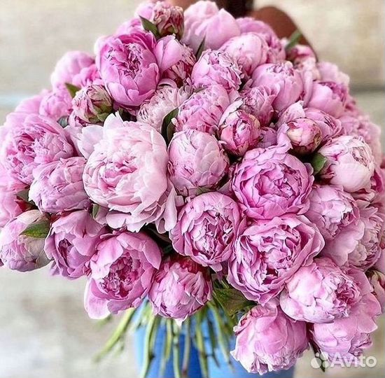 Пионы Розы Доставка