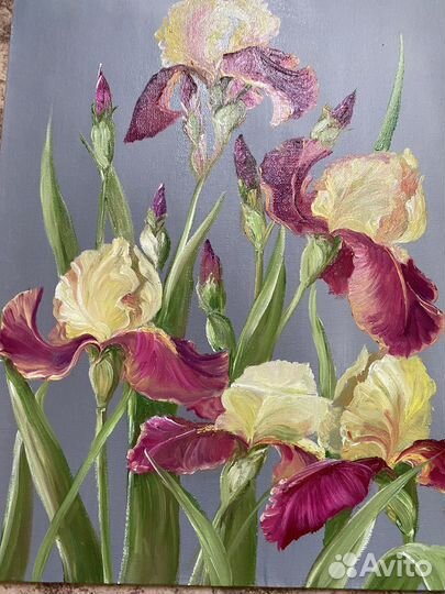 Картина маслом. Крымские ирисы